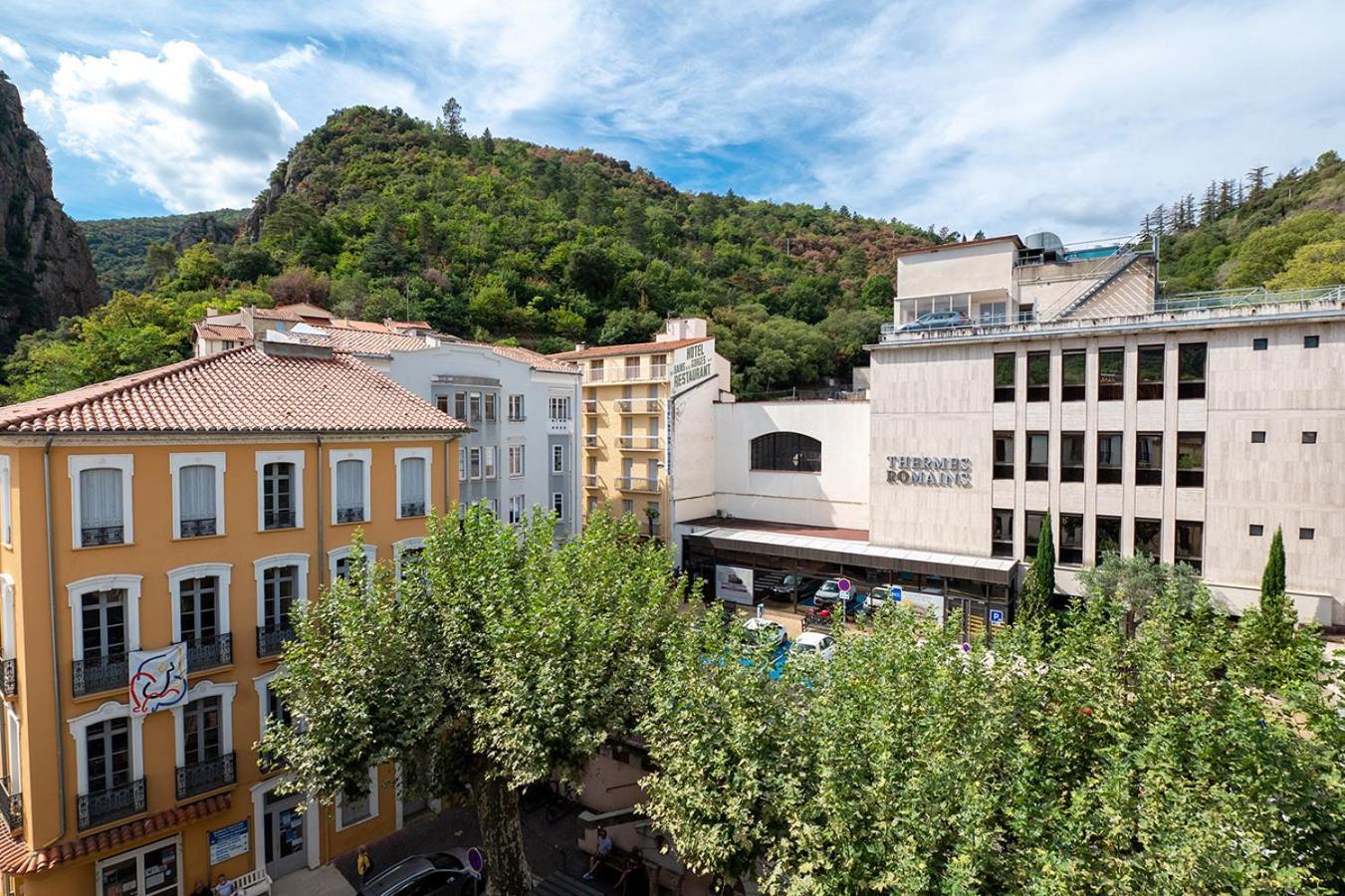 Charmant T1 Bis Idéalement situé au pied des thermes Amélie-les-bains Extérieur photo